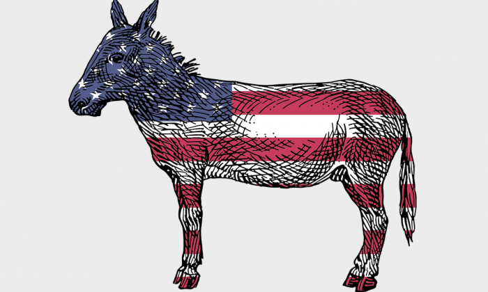 Democratic Party Donkey | www.enemieswithinmovie.com